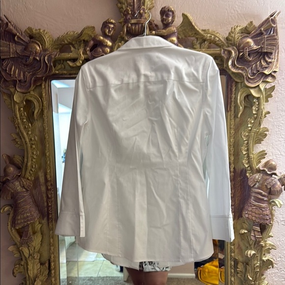 Taylor Investments no iron classic button down with darts and open collar - Picture 5 of 5